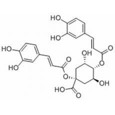 1,3-二咖啡酰奎寧酸/洋薊素