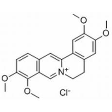 鹽酸巴馬汀