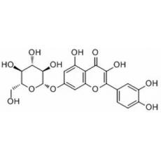 槲皮素-7-O-葡萄糖苷