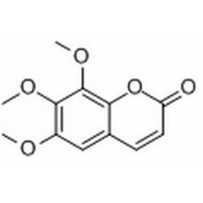 白蠟樹素