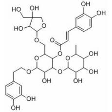 連翹酯苷B