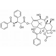 10-去乙酰紫杉醇;7-表-去乙酰基紫杉醇