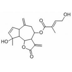 林澤蘭內酯B