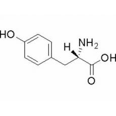 L-酪氨酸