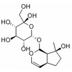 益母草苷