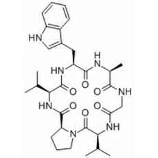 王不留行環肽A