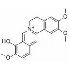 巴馬亭紅堿