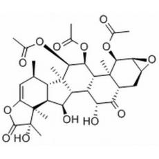 根薯酮內酯B