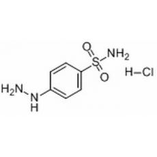  4-磺酰胺基苯肼鹽酸鹽