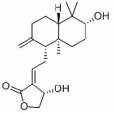 去氧穿心蓮內酯