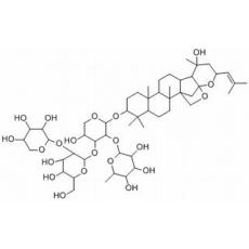 酸棗仁皂苷B1