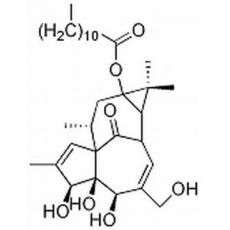 正十二烷酸巨大戟酯 