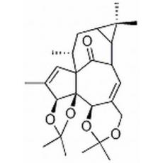 巨大戟醇-3,4:5,20-雙縮丙酮