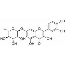 槲皮素7-O-α-L鼠李糖苷