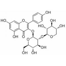 山奈酚3-O-桑布雙糖苷