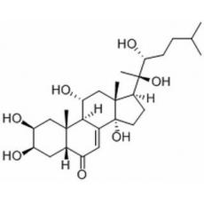 筋骨草甾酮C