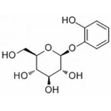 Pyrocatechol monoglucoside