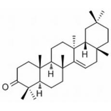 蒲公英賽酮