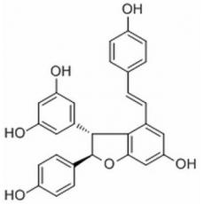 ε-Viniferin