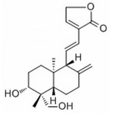 14-去氧-11,12-二去氫穿心蓮內(nèi)酯