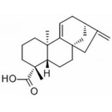  Grandiflorenic acid