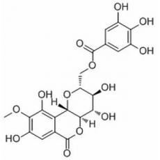 11-O-沒食子酰巖白菜素