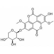 3-O-Methylducheside A