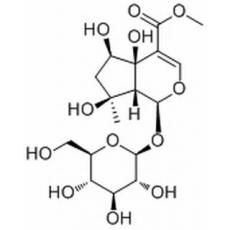  6β-Hydroxyipolamiide