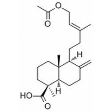 乙酰基異柏烯酸