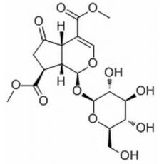 Griselinoside