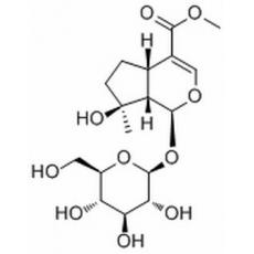 玉葉金花甙酸甲酯