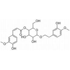 (E)-2-(3-羥基-4-甲氧基苯基)乙基 4-[3-(4-羥基-3-甲氧基苯基)-2-丙烯酸] BETA-D-葡萄糖苷