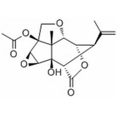 13-O-乙酰基馬桑寧