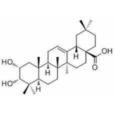 2,3-二羥基-12-齊墩果烯-28-酸