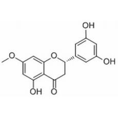 艾納香素