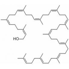 Ficaprenol 11