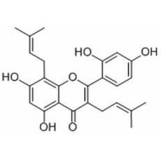 桑皮黃素，桑黃酮