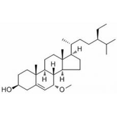  Schleicheol 2