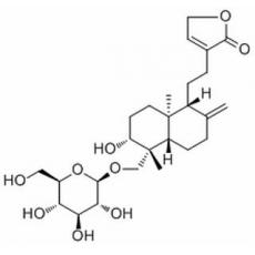 Andropanoside