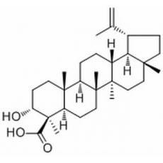 Lupeolic acid