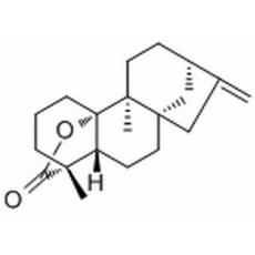 Tetrachyrin