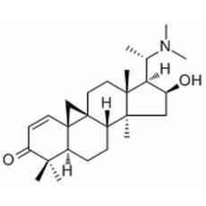 雀舌黃楊堿B