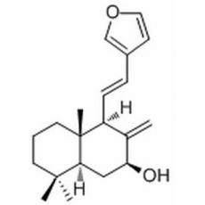 二羥丙茶堿A