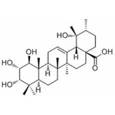 1β-Hydroxyeuscaphic acid