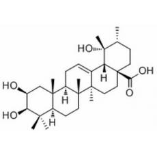 2-Epitormentic acid