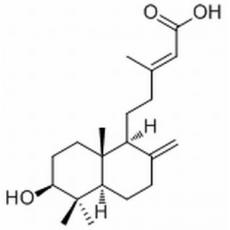 紫背金牛酸