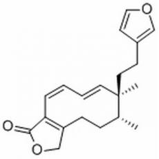 Dodonolide