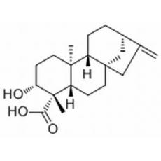  ent-3β-Hydroxykaur-16-en-19-oic