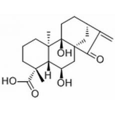 等效-6,9-二羥基-15-氧代-16-貝殼杉烯-19-酸