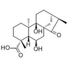 Pterisolic acid D